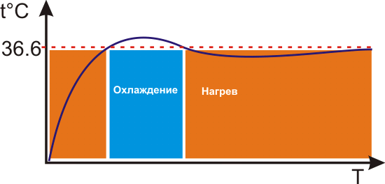 termo